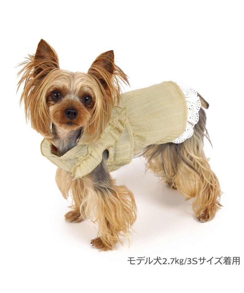 PET PARADISE ペットパラダイス スプリング ワンピース 《イエロー》 超小型犬 小型犬 