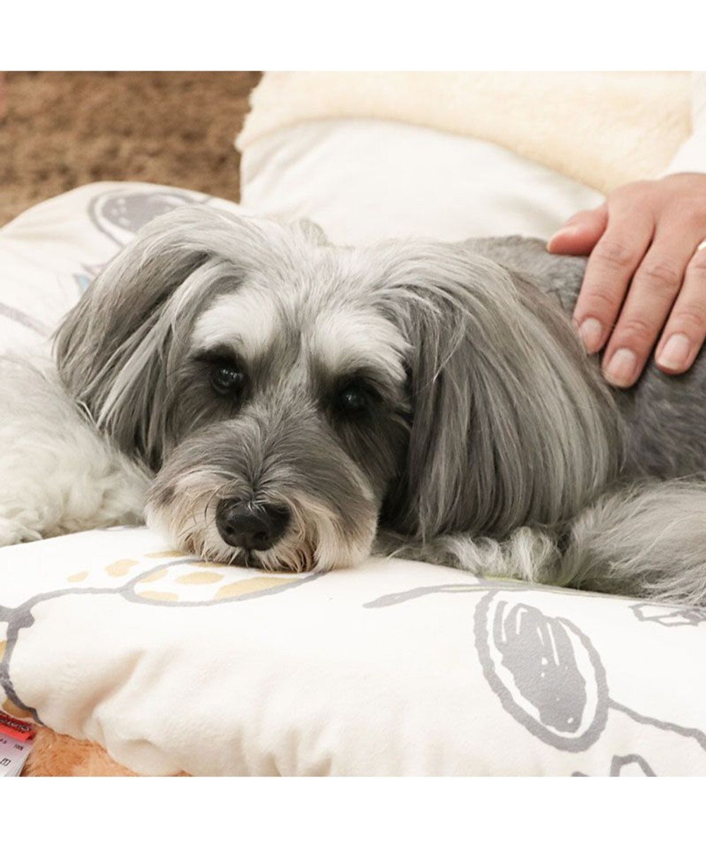 PET PARADISE スヌーピー 遠赤外線 くつろぎマット 《兄弟柄》 Ｍ 