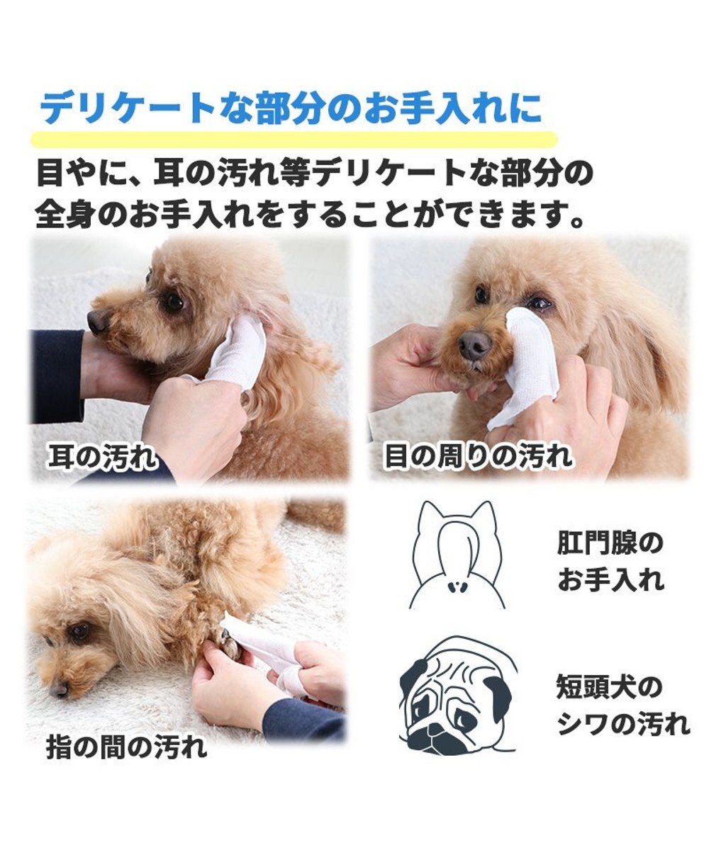 PET PARADISE マルチフィンガーシート デンタル 指 歯ブラシ シート 30枚入り 