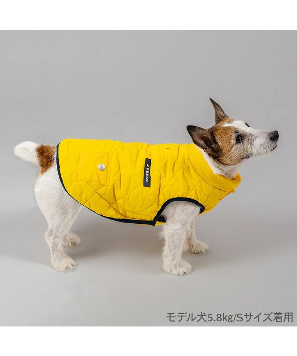 PET PARADISE J.PRESS ダイヤＳＴ 綿入ベスト 《イエロー》 小型犬 