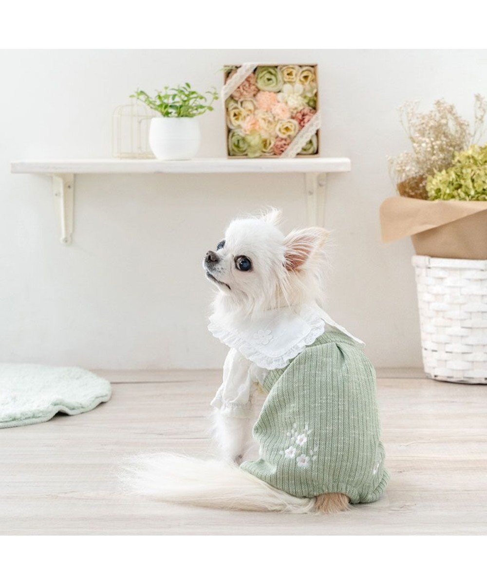 PET PARADISE ペットパラダイス ナチュラル パンツつなぎ 《小花 》 小型犬 
