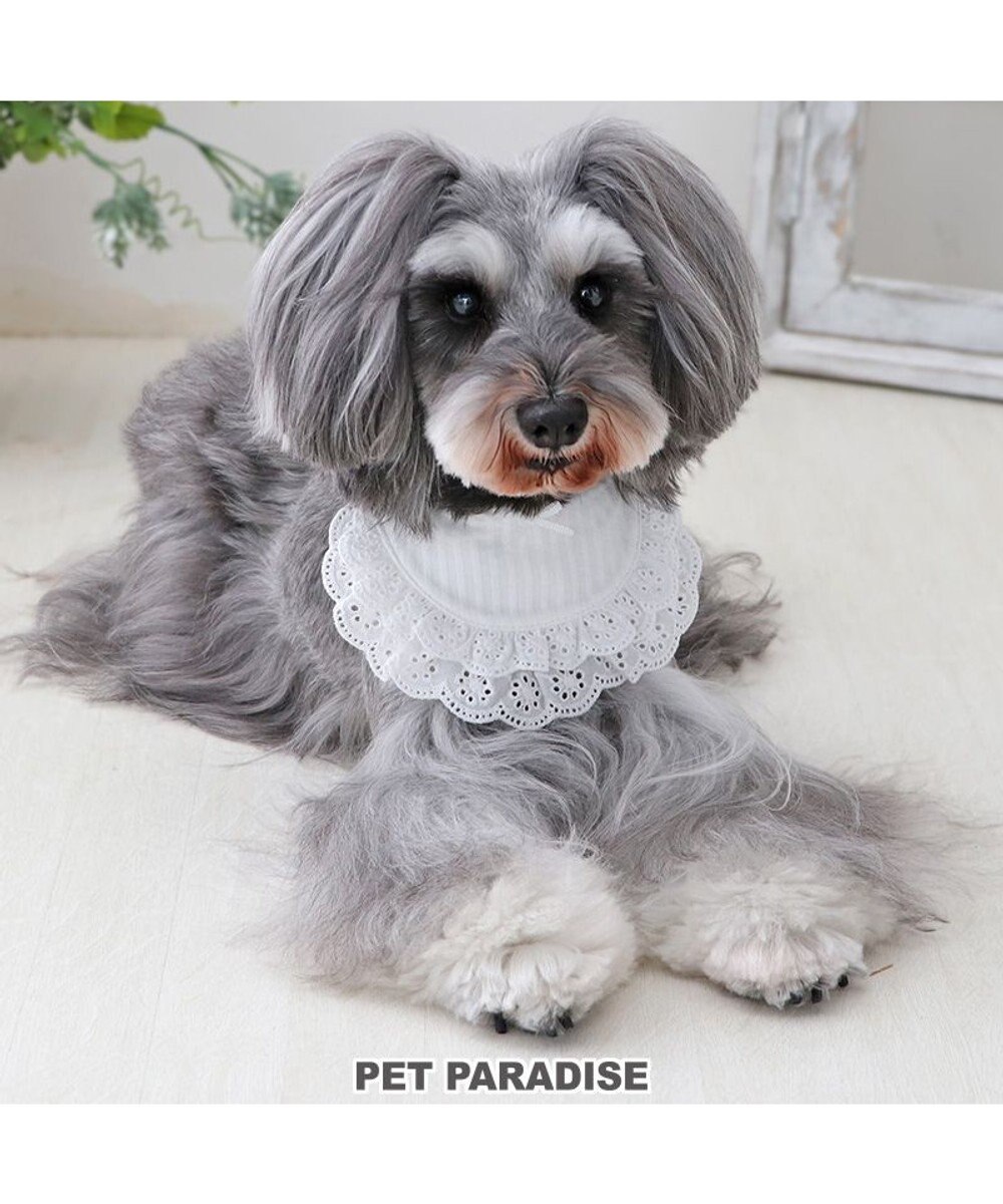 PET PARADISE ペットパラダイス フリルスタイ 小型犬 