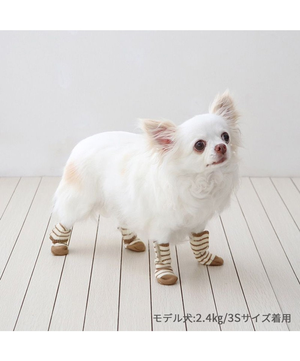 PET PARADISE ペットパラダイス makokoro スリット 靴下 《ボーダー》 ３Ｓ 小型犬 