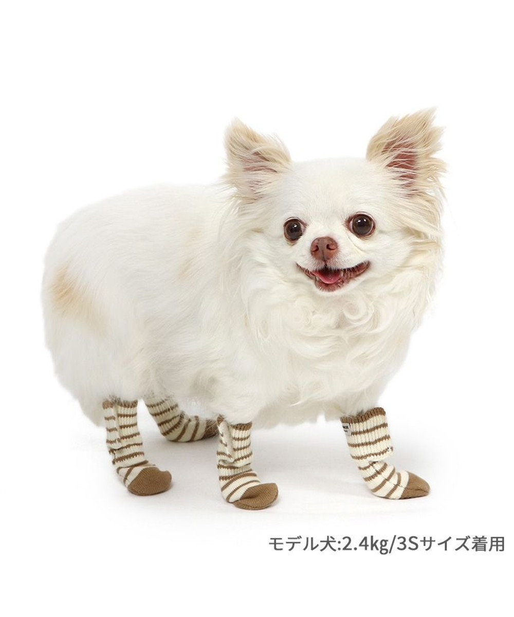 PET PARADISE ペットパラダイス makokoro スリット 靴下 《ボーダー》 ３Ｓ 小型犬 
