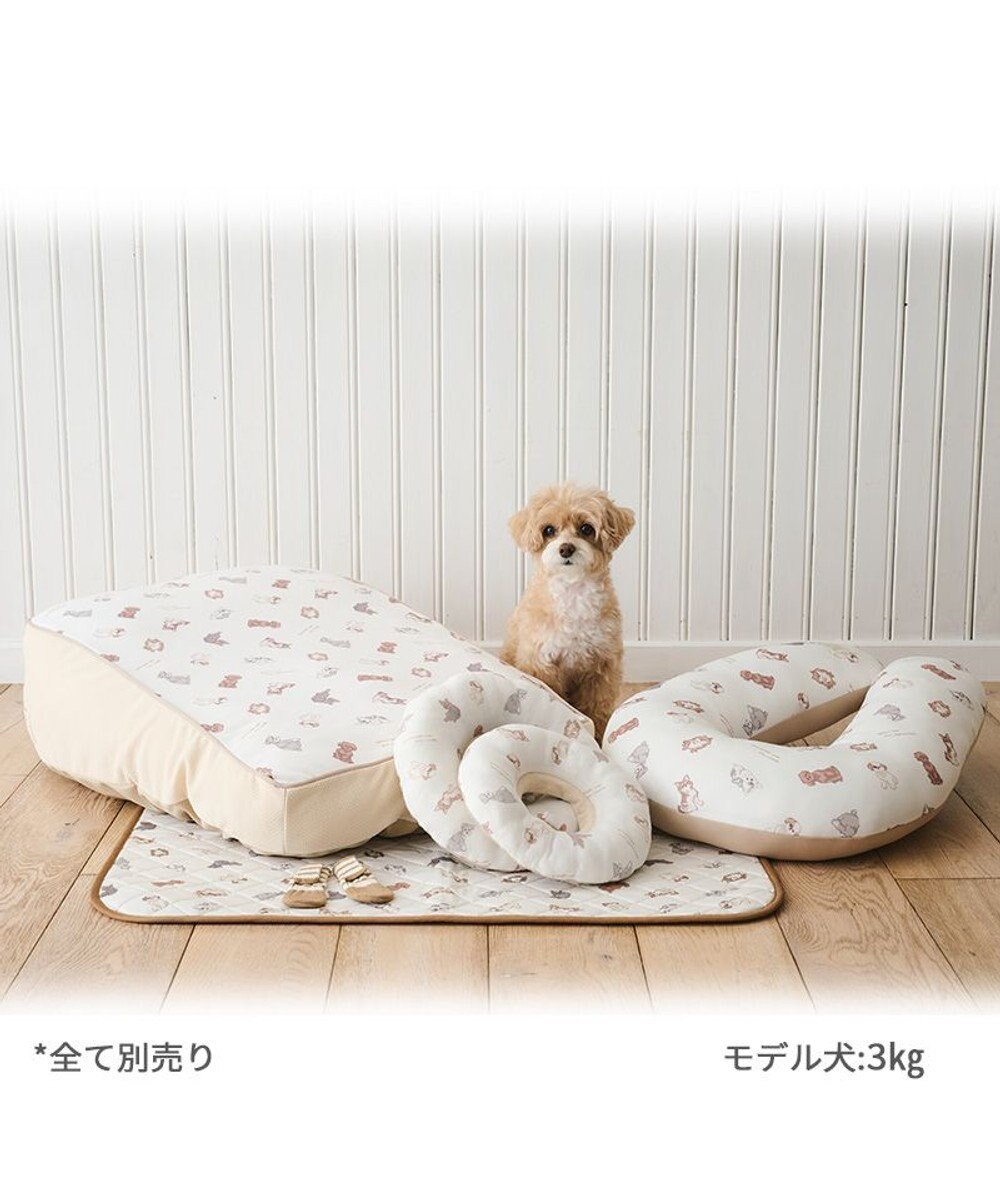 PET PARADISE ペットパラダイス makokoro スリット 靴下 《ボーダー》 ３Ｓ 小型犬 