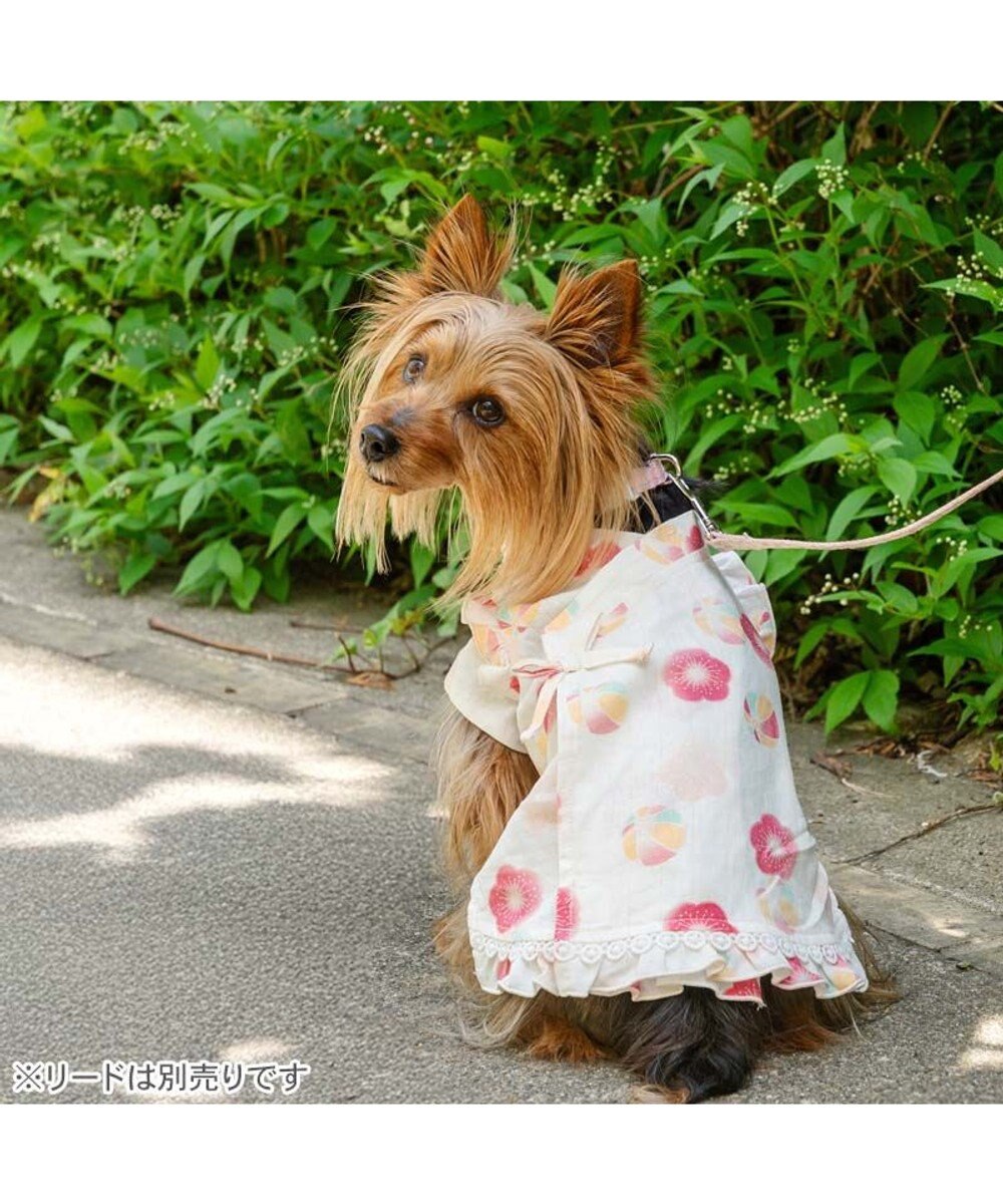 PET PARADISE ペットパラダイス 甚平《梅てまり柄》　小型犬 