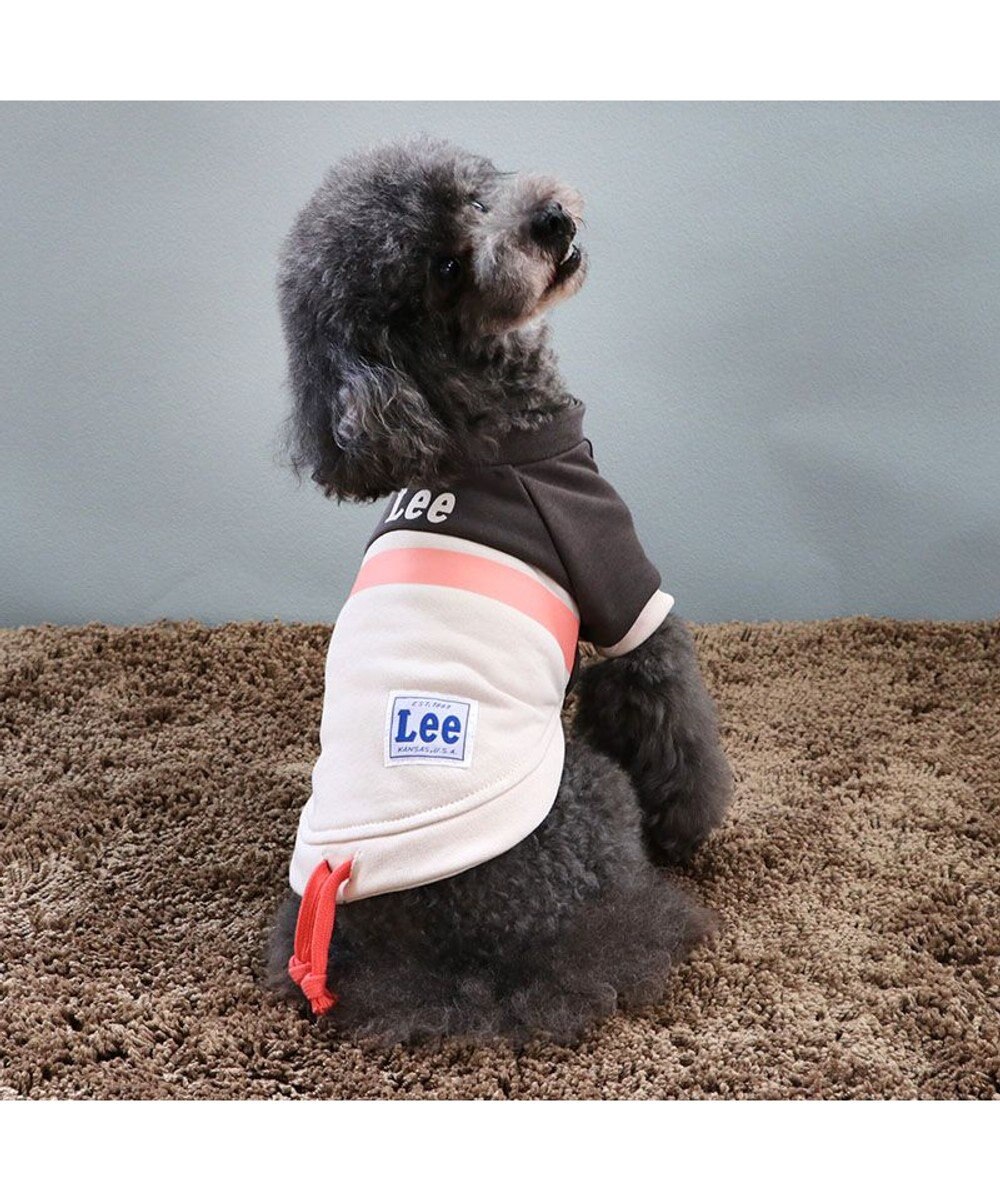 PET PARADISE Ｌｅｅスウェット トレーナー 【小型犬】 グレー 
