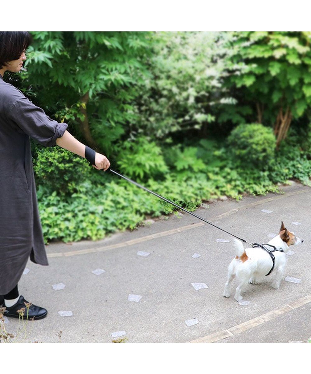 PET PARADISE 両面反射リード ブラック 120cm【ＳＳ~Ｓ】 