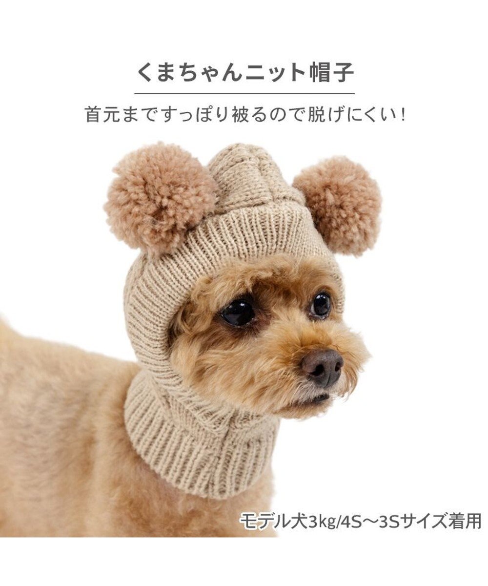PET PARADISE ペットパラダイス くまちゃん ニット 帽子 小型犬 