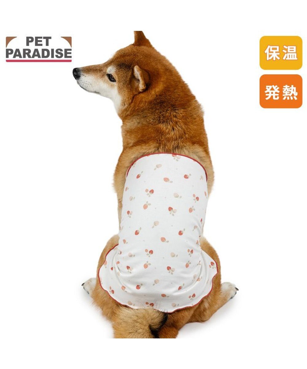 PET PARADISE ペットパラダイス ペティヒート 天竺 腹巻 《いちご柄》 中型犬 