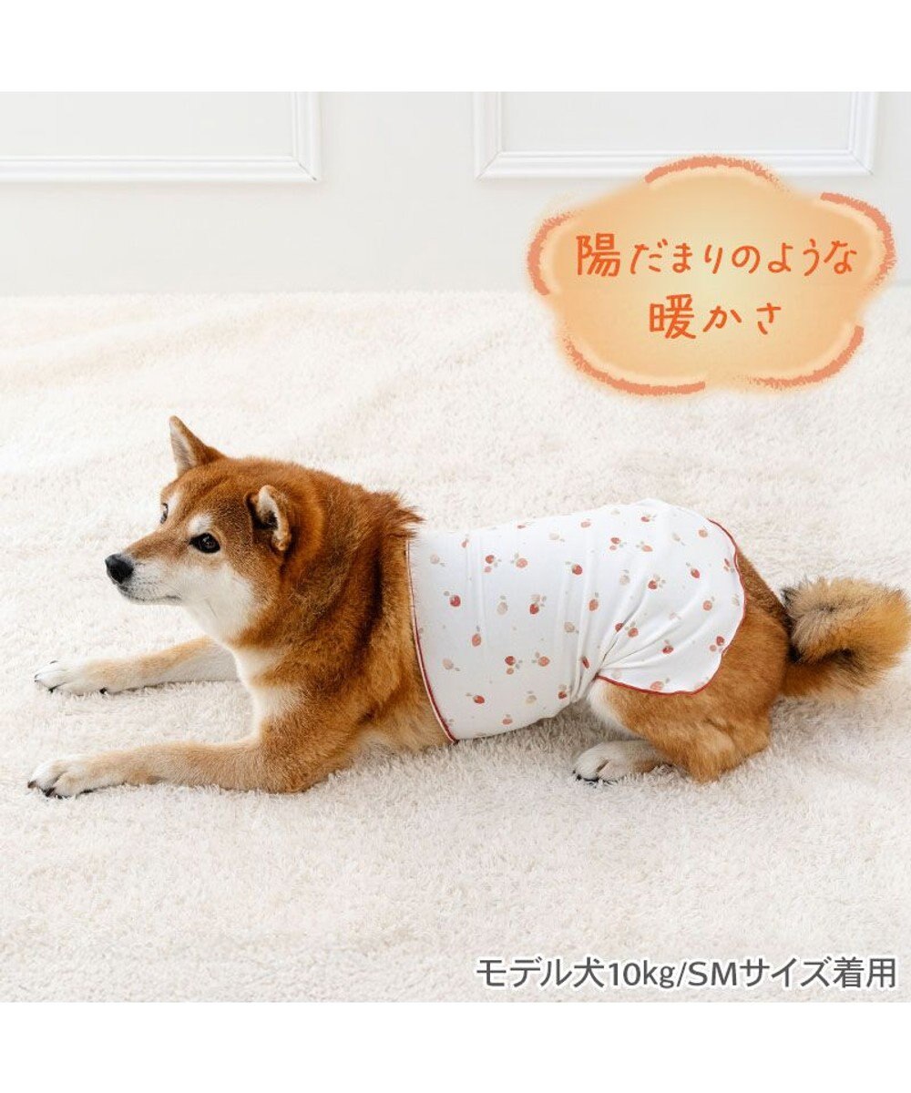 PET PARADISE ペットパラダイス ペティヒート 天竺 腹巻 《いちご柄》 中型犬 