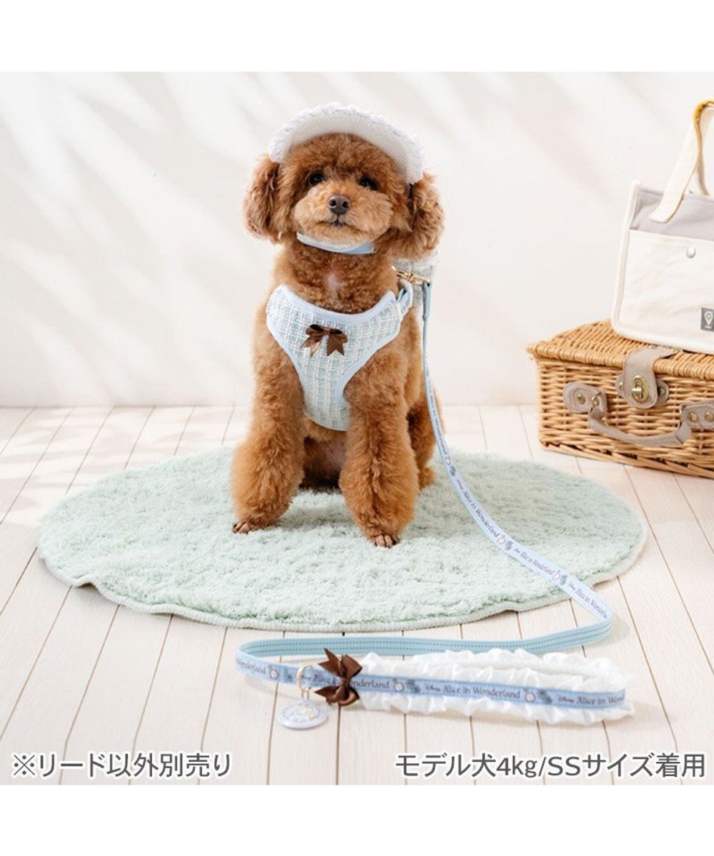 PET PARADISE ディズニー アリス フリルリード ４Ｓ～３Ｓ 