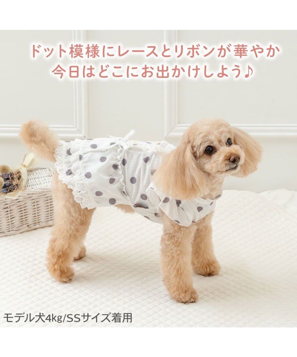 PET PARADISE ペットパラダイス 背中開き フリル ワンピース 《ドット柄》 小型犬 