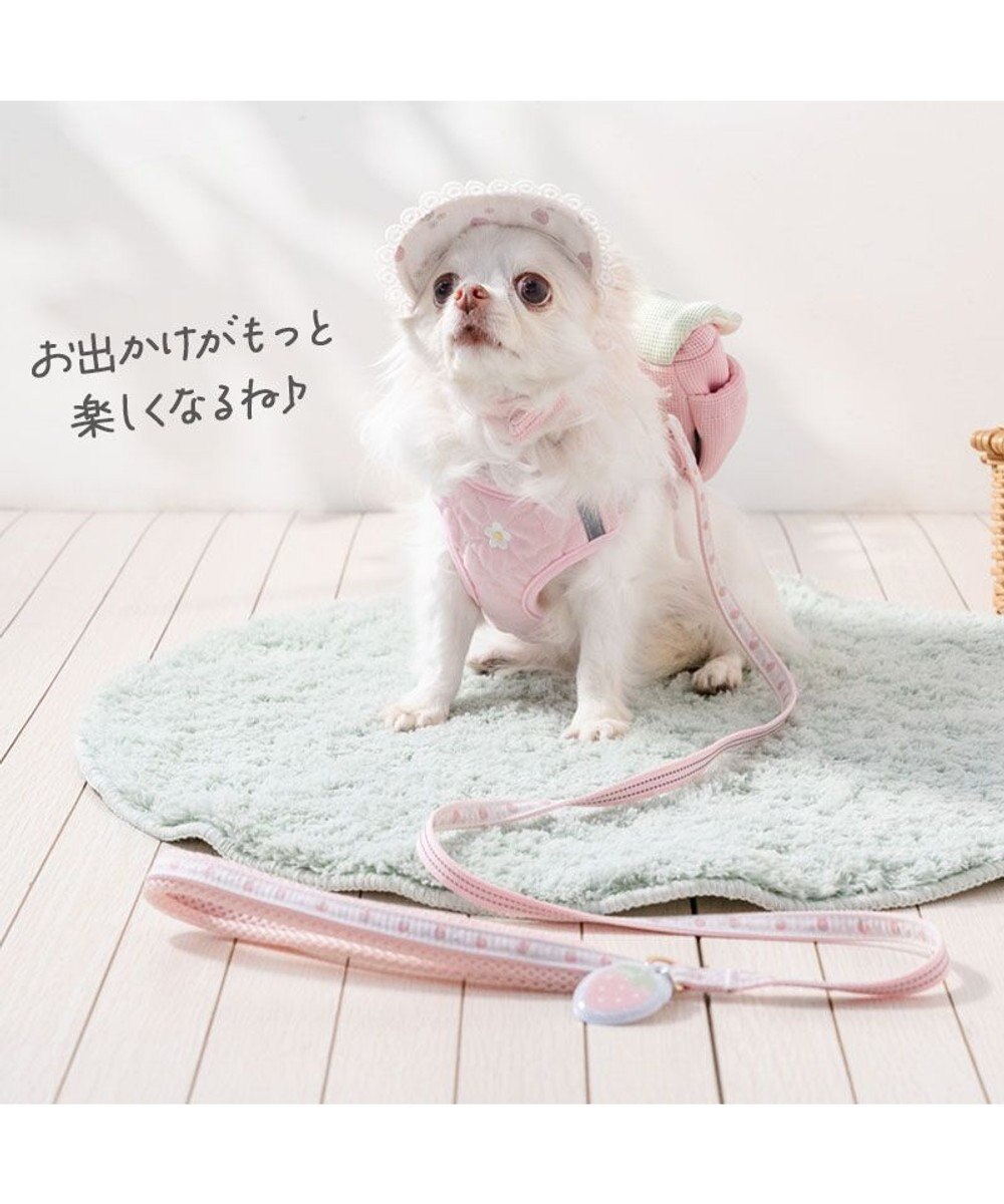 PET PARADISE ペットパラダイス リュックハーネス 《花苺》 ＳＳ 