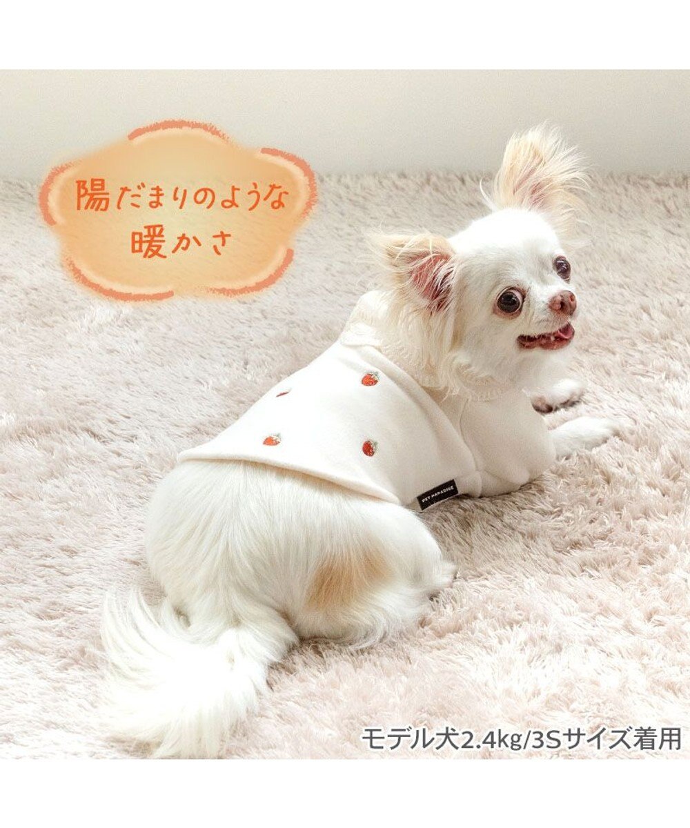PET PARADISE ペットパラダイス ペティヒートDAN Tシャツ 《いちご柄》 小型犬 