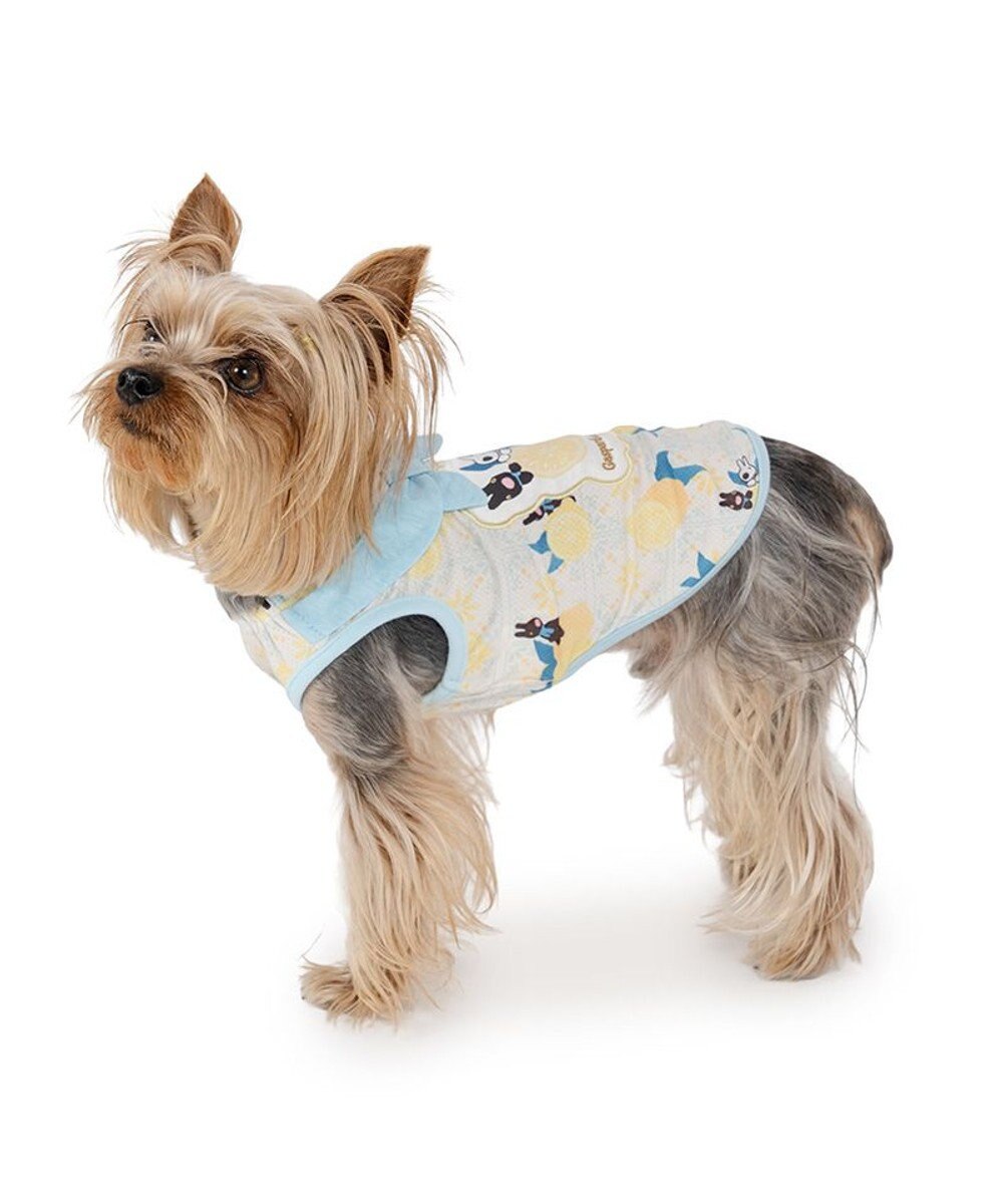 PET PARADISE リサとガスパール エコメイド シトラス タンクトップ 小型犬 