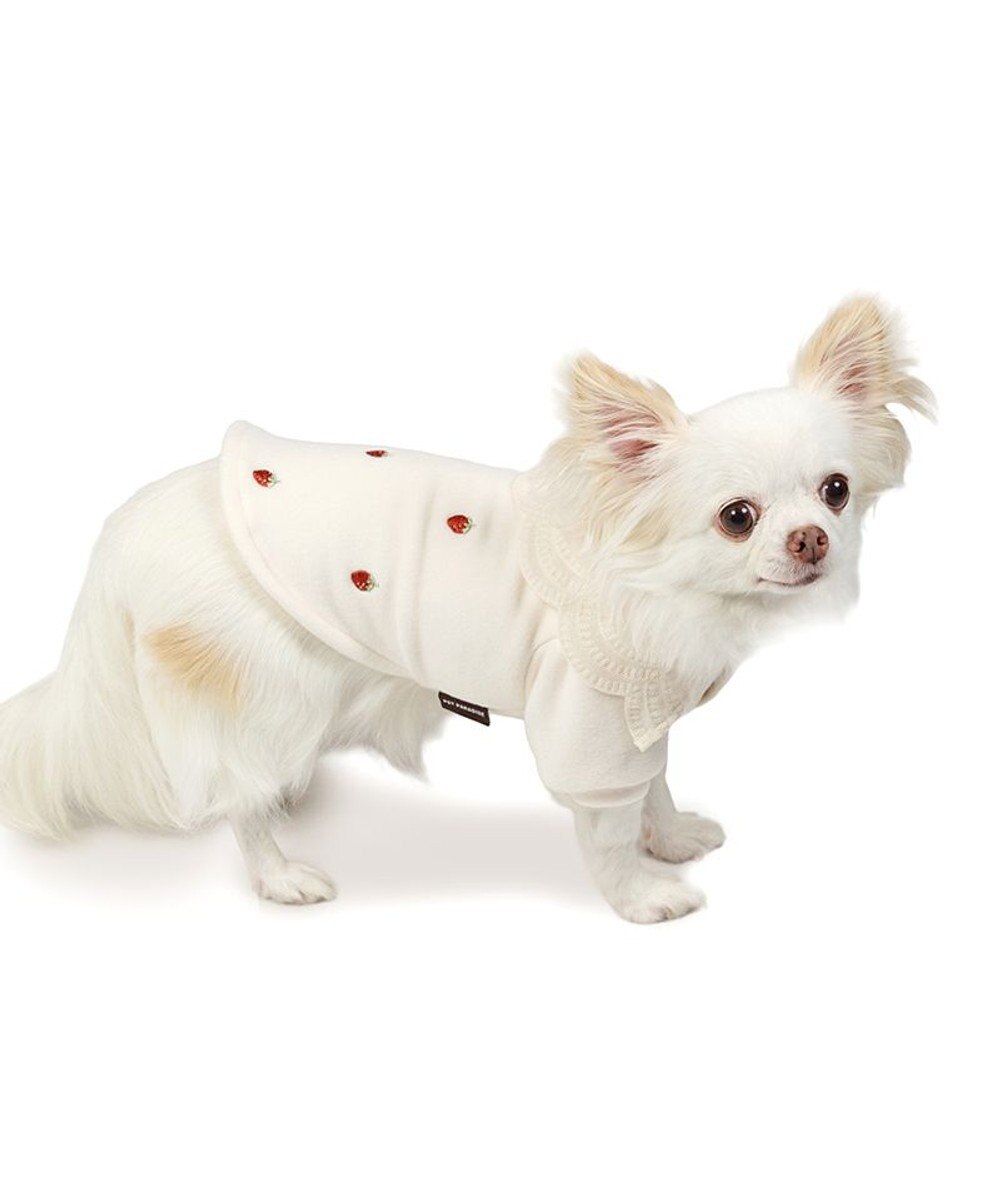 PET PARADISE ペットパラダイス ペティヒートDAN Tシャツ 《いちご柄》 小型犬 