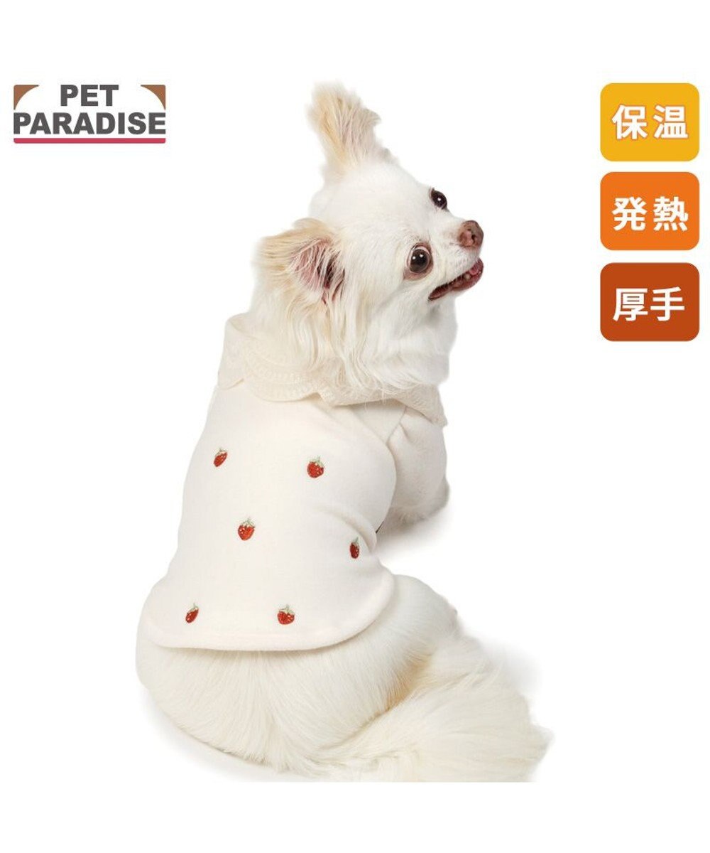 PET PARADISE ペットパラダイス ペティヒートDAN Tシャツ 《いちご柄》 小型犬 