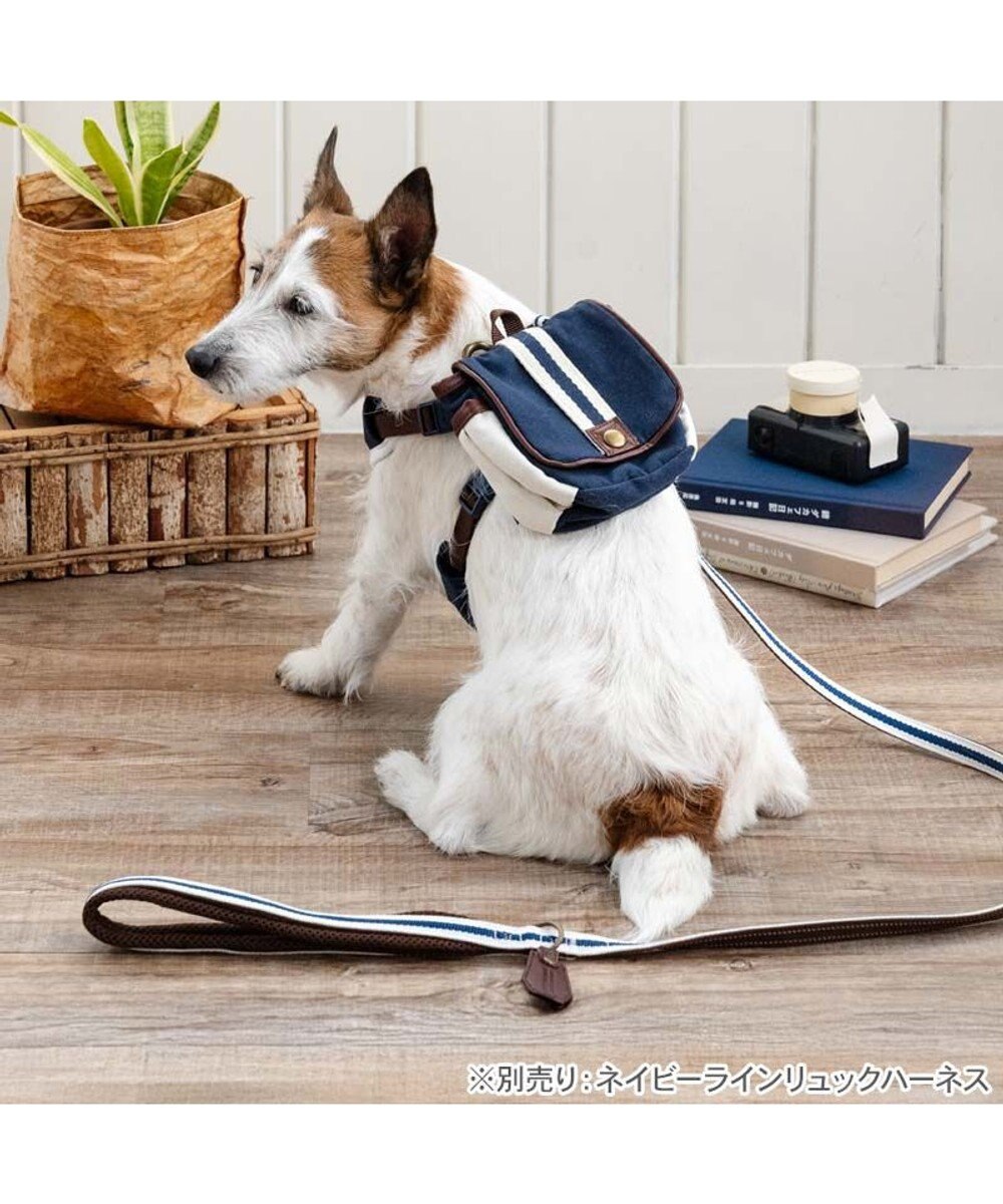 PET PARADISE ペットパラダイス ネイビー ライン入り リード ４Ｓ～３Ｓ 小型犬 