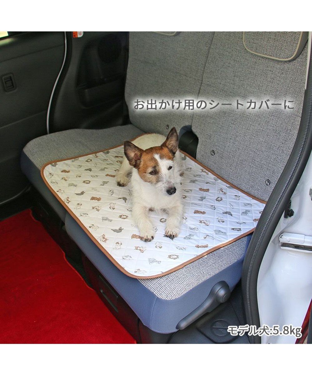 PET PARADISE ペットパラダイス makokoro 吸水マルチマット 《わんちゃん柄》 