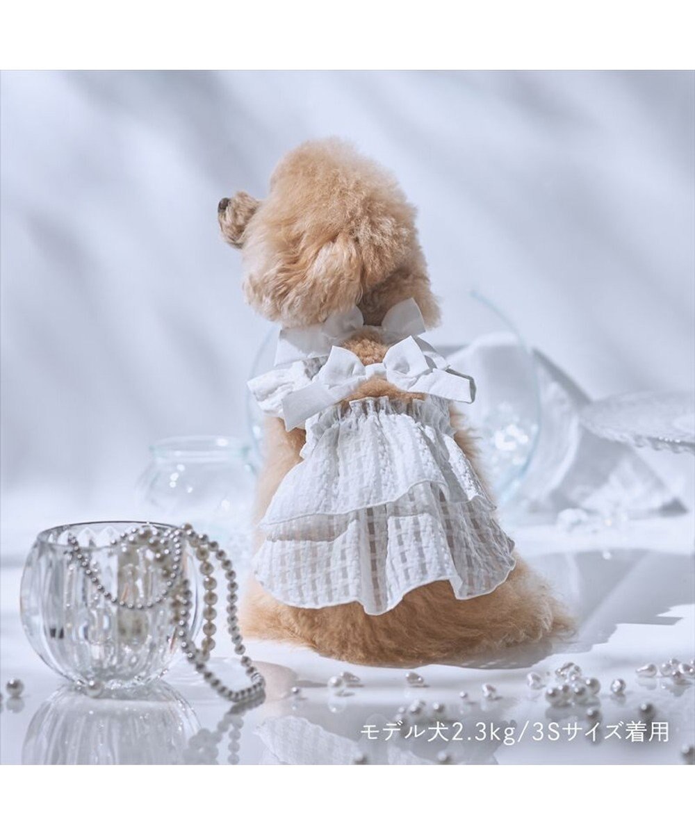 PET PARADISE cherircouture シースルーリボン ワンピース 小型犬 