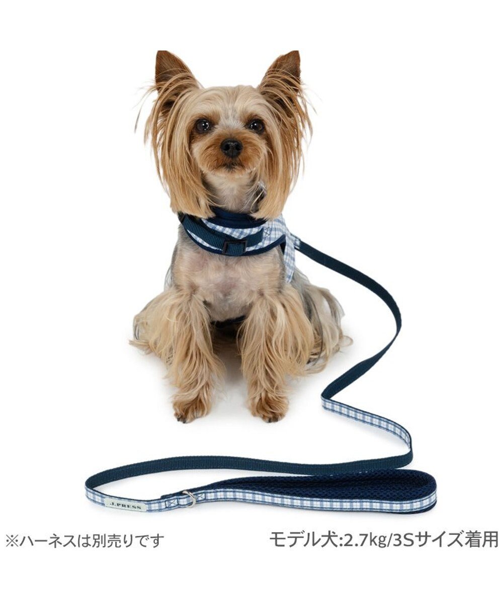 PET PARADISE J.PRESS リード  《チェック柄》 ＳＭ 中型犬 