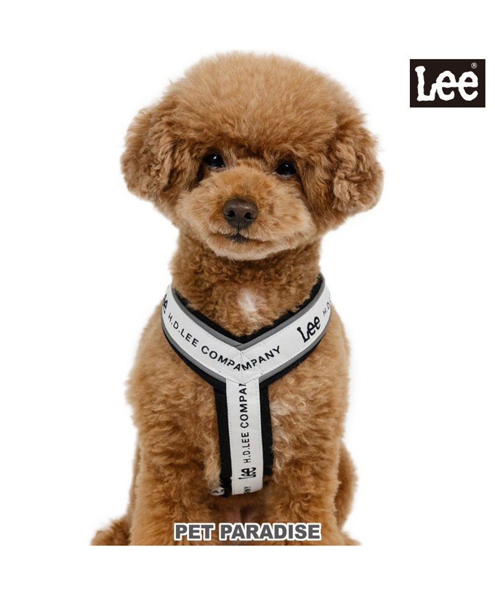 PET PARADISE Lee ロゴ アクティブ ハーネス Ｓ 小型犬 