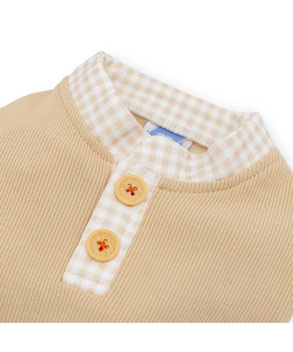 PET PARADISE ペットパラダイス  くまちゃん プレミアム ペティヒート お顔 Tシャツ 小型犬 