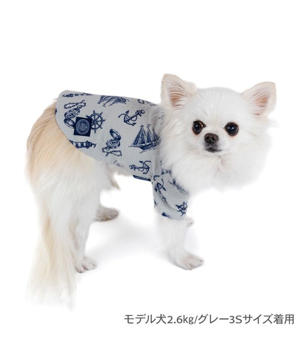 PET PARADISE J.PRESS マリンシャツ  《グレー》 小型犬 