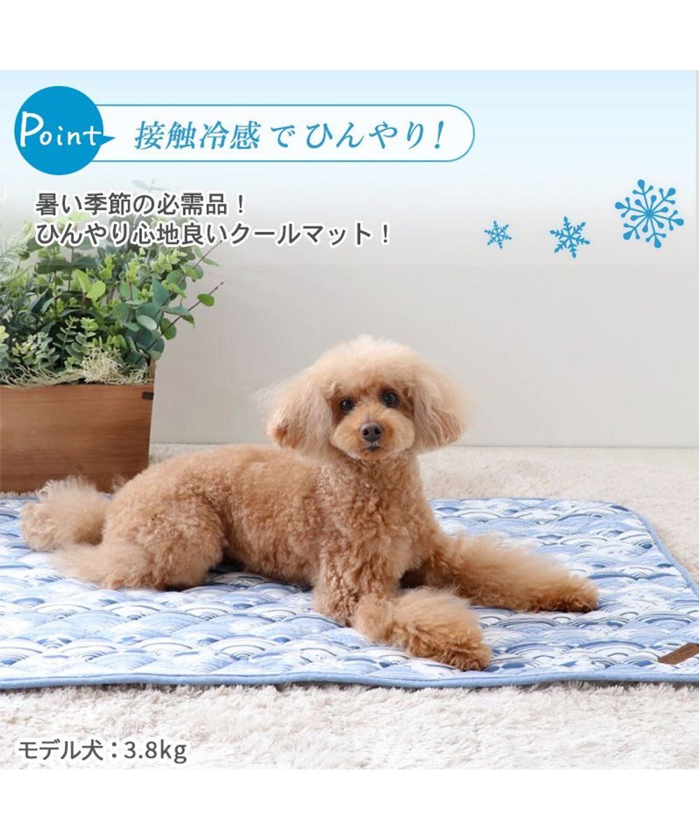 PET PARADISE 接触冷感 柔らか クールマットM《苺 ネイティブ 》 (90×60cm) 