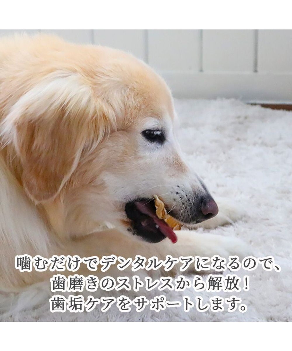 PET PARADISE 馬アキレス ジャーキー ロングジャーキー 3本入り 