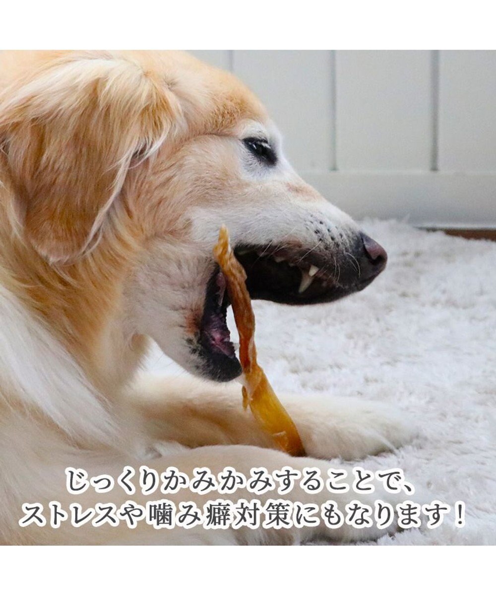 PET PARADISE 馬アキレス ジャーキー ロングジャーキー 3本入り 