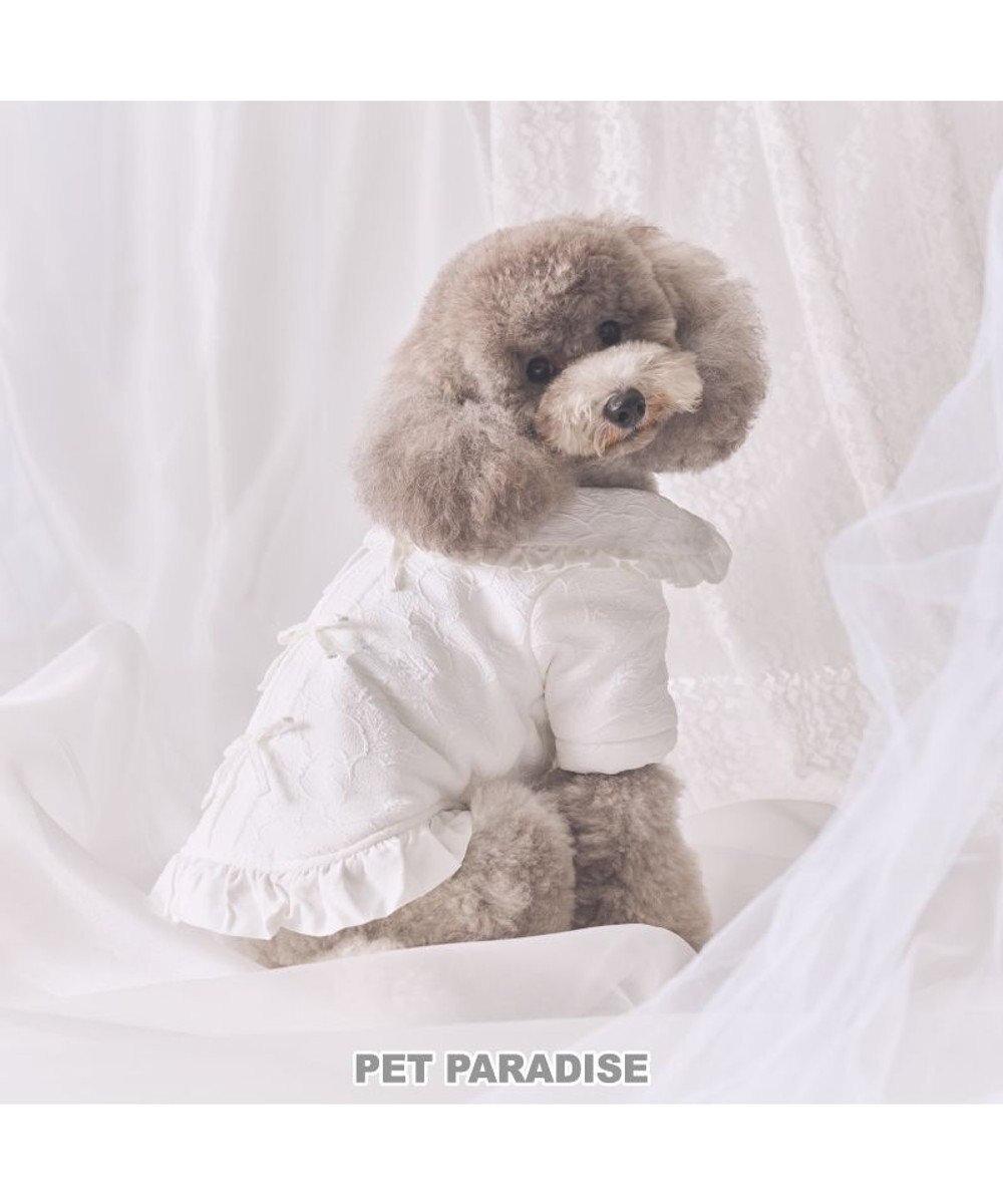 PET PARADISE cherircouture ジャガードコート 小型犬 