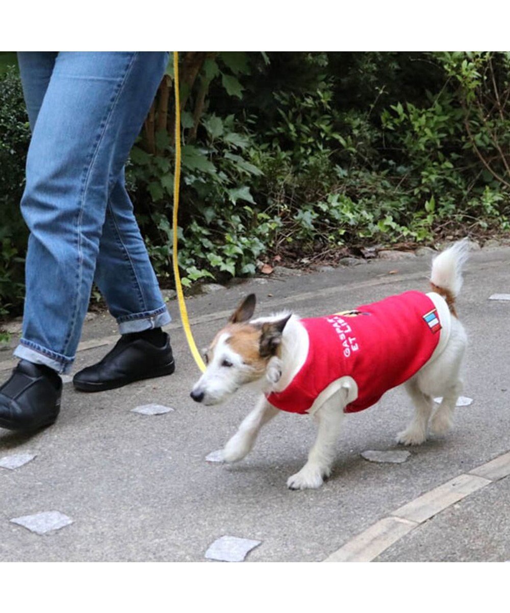 PET PARADISE 犬 服 リサとガスパール トレーナー 【小型犬】 ワンダフルストレッチ パン柄 