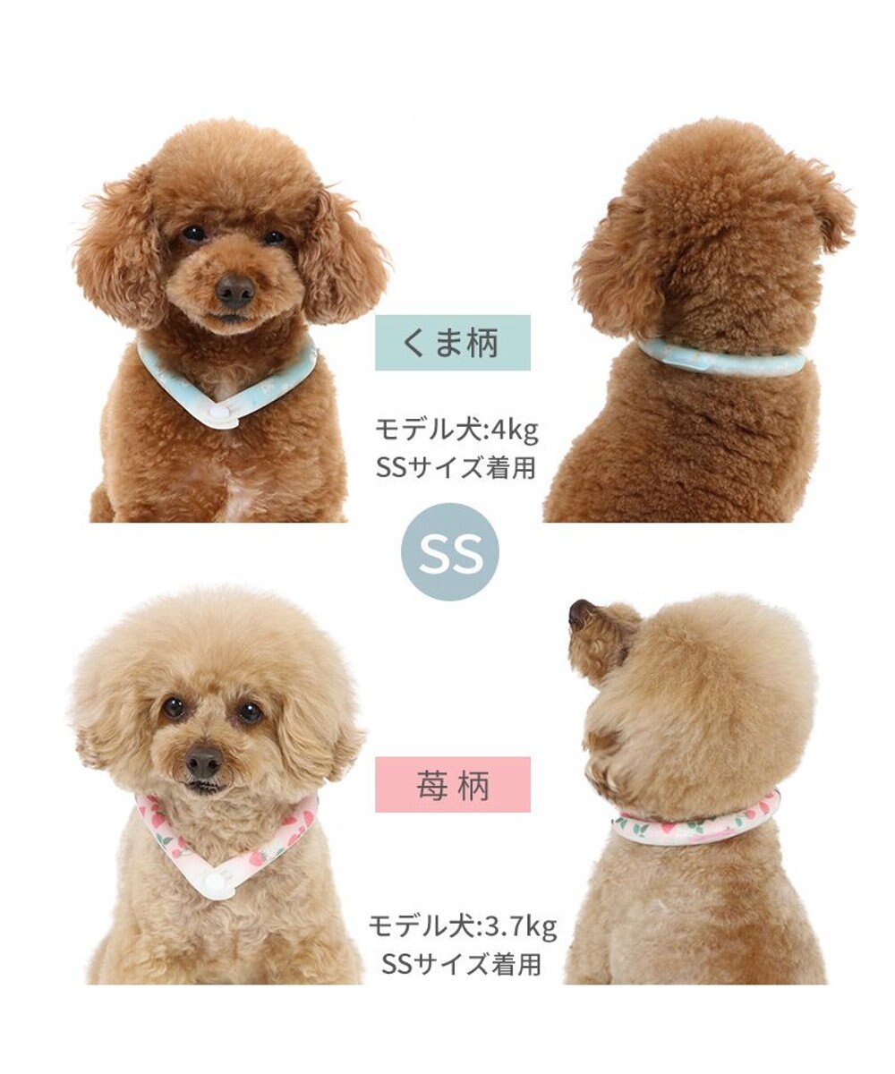 PET PARADISE ペットパラダイス 28℃クールリング SUO 《くま柄》 〔ＳＳ〕 小型犬 