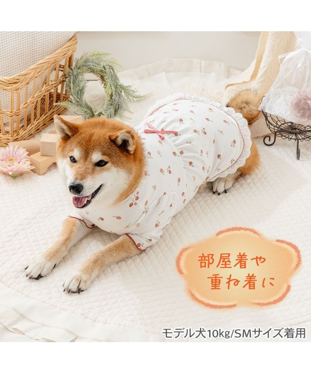PET PARADISE ペットパラダイス ペティヒート天竺 Tシャツ 《いちご》 中型犬 大型犬 
