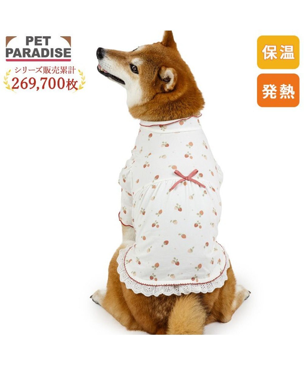 PET PARADISE ペットパラダイス ペティヒート天竺 Tシャツ 《いちご》 中型犬 大型犬 