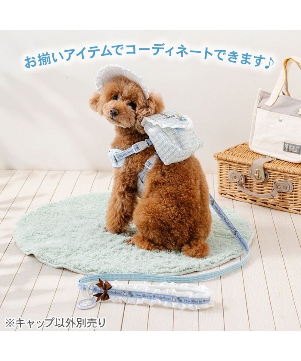PET PARADISE ディズニー アリス フリル帽子 ４Ｓ～３Ｓ/ＳＳ～Ｓ 