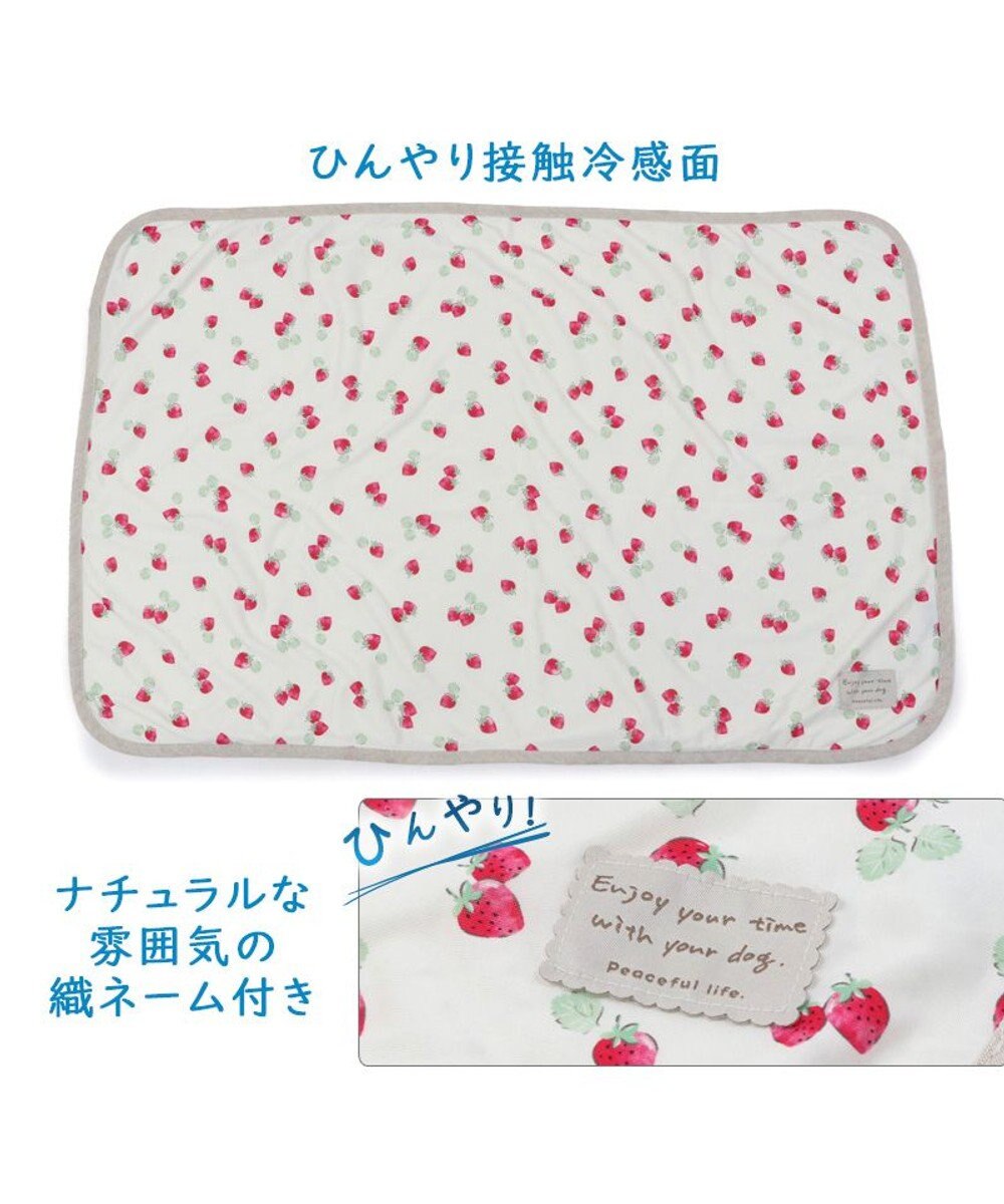 PET PARADISE ペットパラダイス クールブランケット 単品 (90×60cm)  《 苺柄 / ネイティブ柄 》 