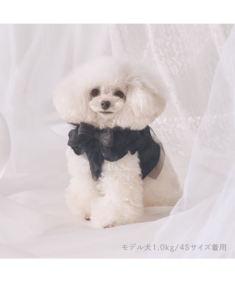 PET PARADISE cherircouture フリフリハーネス 《ブラック》 小型犬 Ｓ 