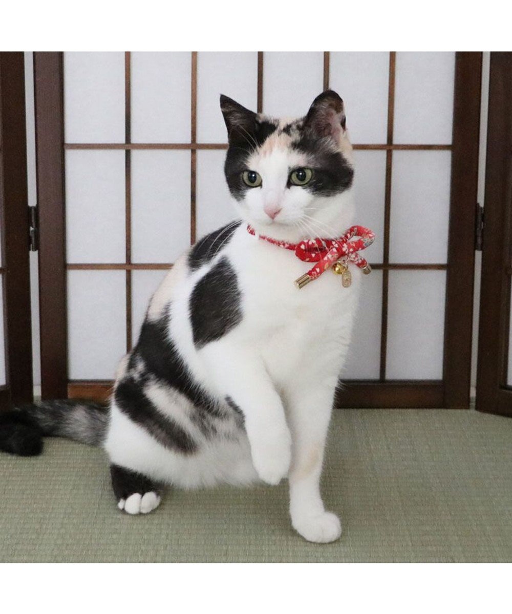 PET PARADISE ペットパラダイス 和むすび 猫首輪  《赤》 小 / 中 