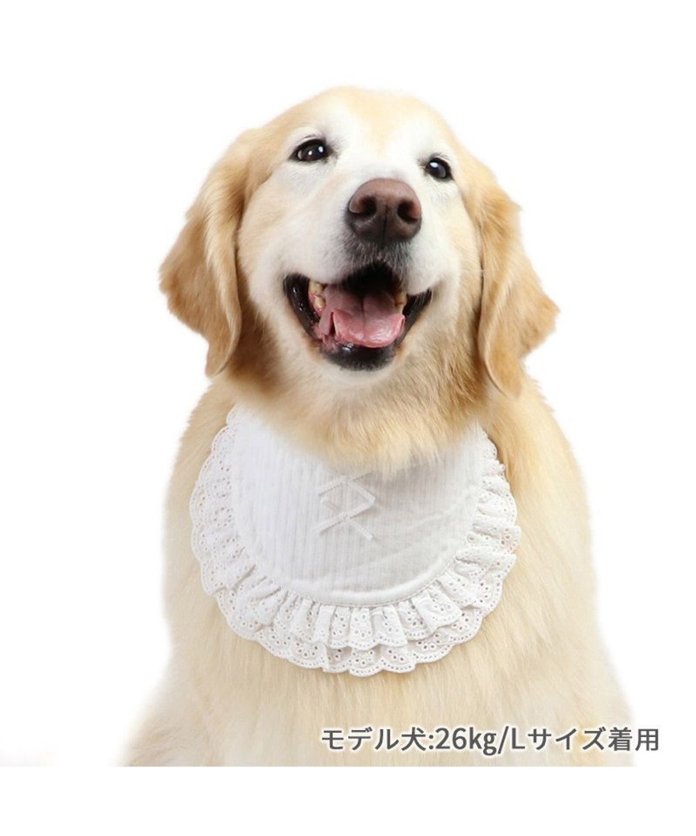 PET PARADISE ペットパラダイス フリルスタイ 中型犬  大型犬 