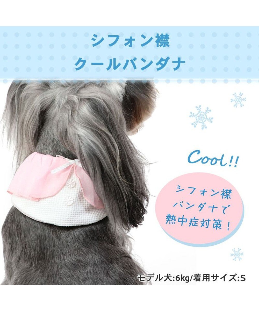 PET PARADISE クールネック バンダナ 《シフォン襟／しろくま／ボタニカル》 保冷剤付き 【小型犬】 