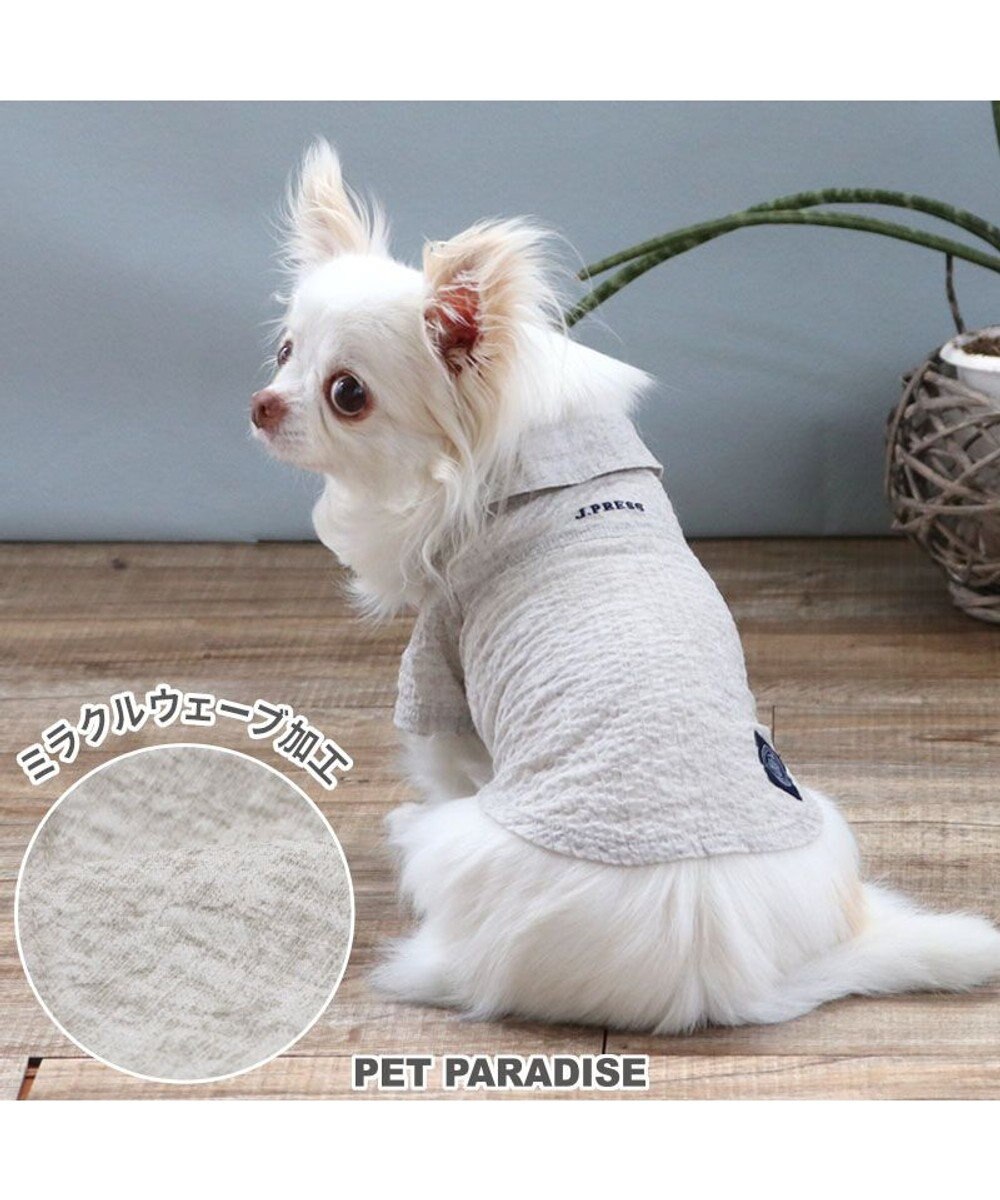 PET PARADISE J.PRESS 杢 ウェーブシャツ 《グレー》 小型犬 
