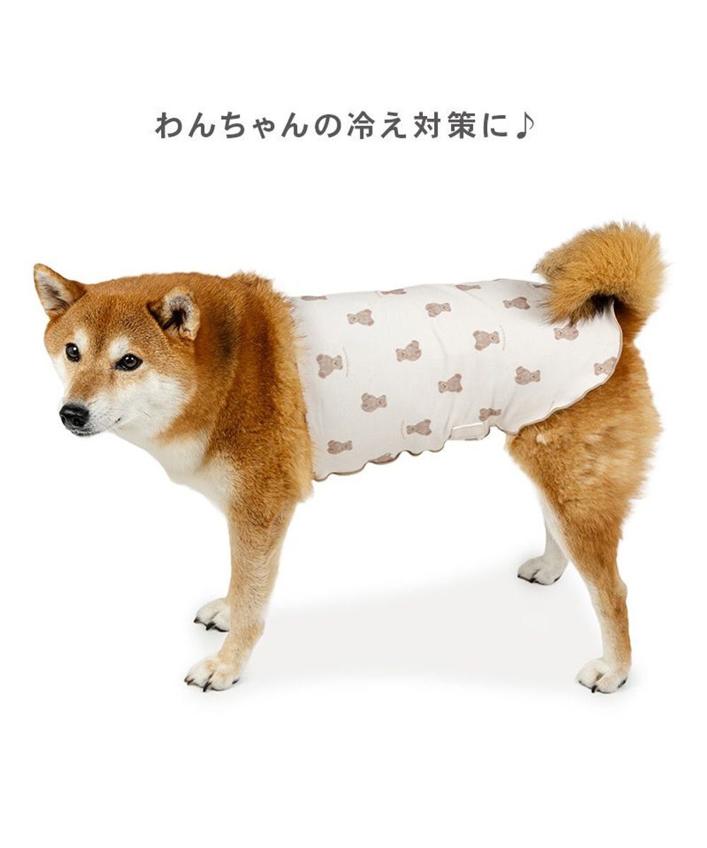 PET PARADISE ペットパラダイス くまちゃん ペティヒート 天竺 腹巻 小型犬 
