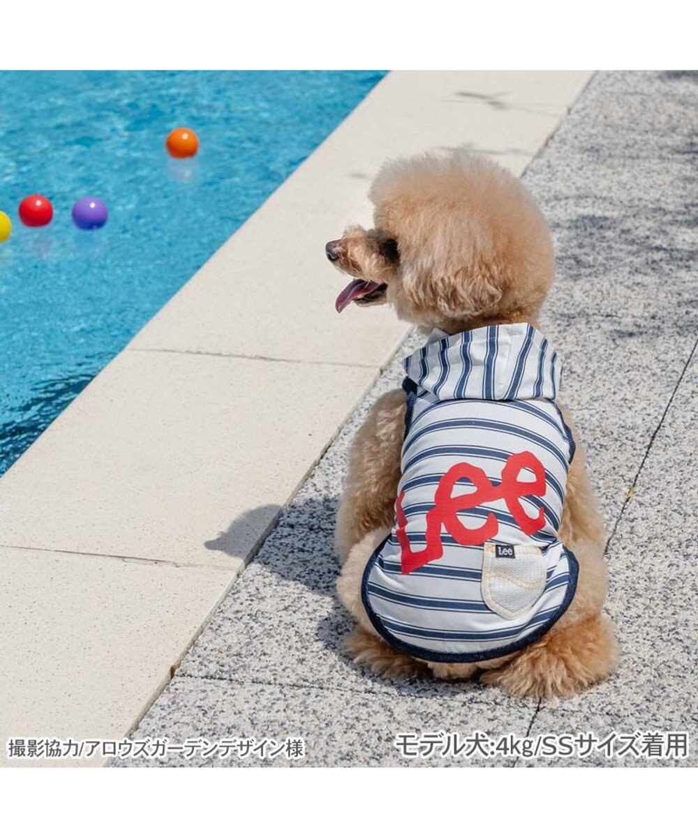 PET PARADISE Lee タッチワンクール プラス ネオタンクトップ 小型犬 