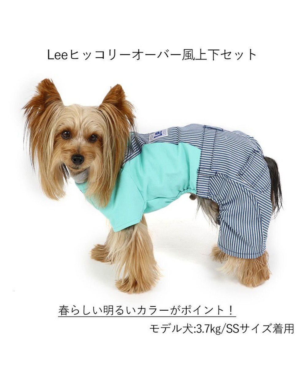 PET PARADISE 犬の服 犬 服 秋冬 Ｌｅｅ パンツ つなぎ 【小型犬】 ヒッコリー 