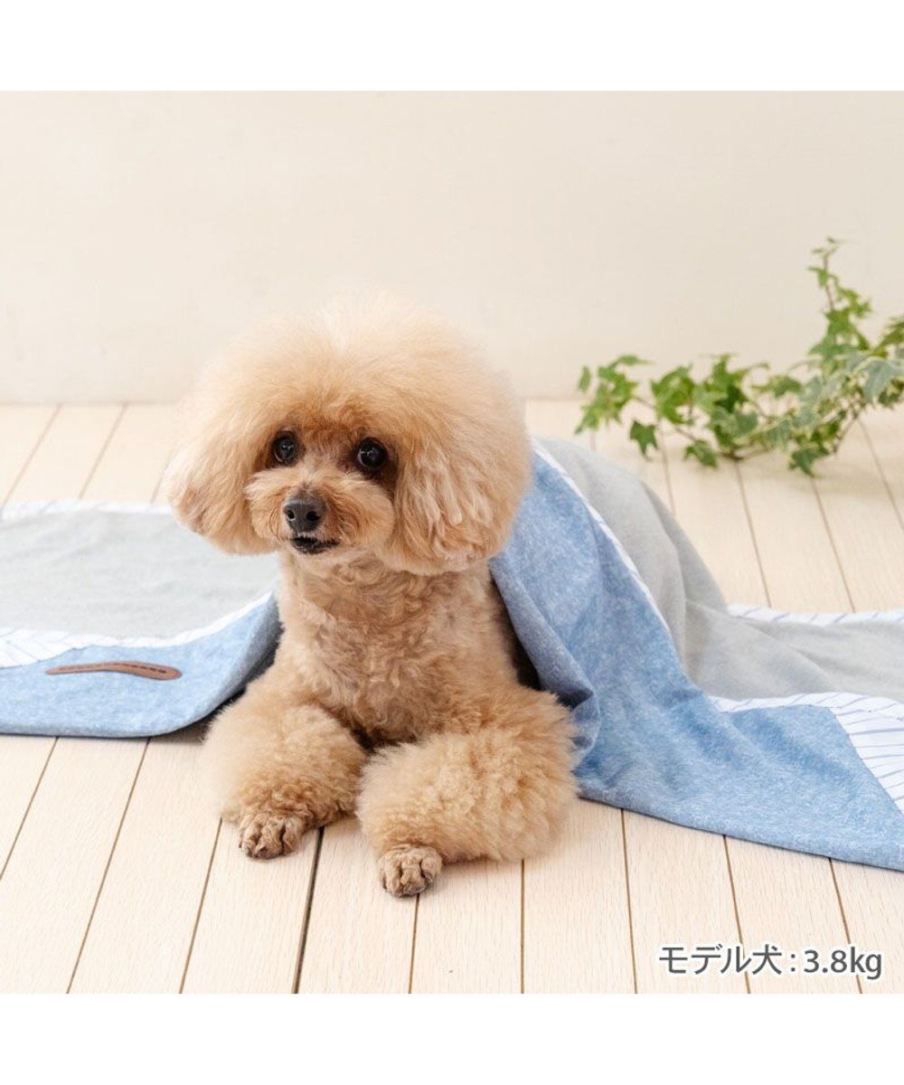 PET PARADISE ペットパラダイス クールケット 《シャンブレー柄》 小型犬 