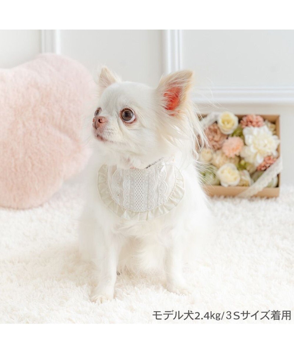 PET PARADISE ペットパラダイス キルティング レース スタイ 小型犬 