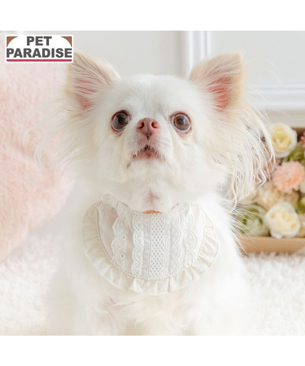 PET PARADISE ペットパラダイス キルティング レース スタイ 小型犬 